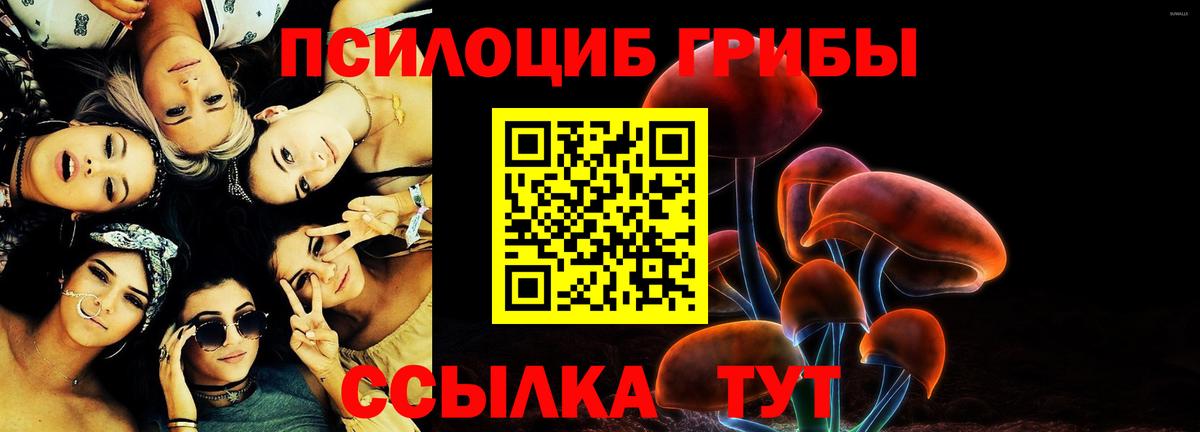 Псилоцибиновые грибы GOLDEN TEACHER  Псилоцибиновые грибы MAGIC MUSHROOMS  Вход с VPN  где купить наркоту  Михайловка 